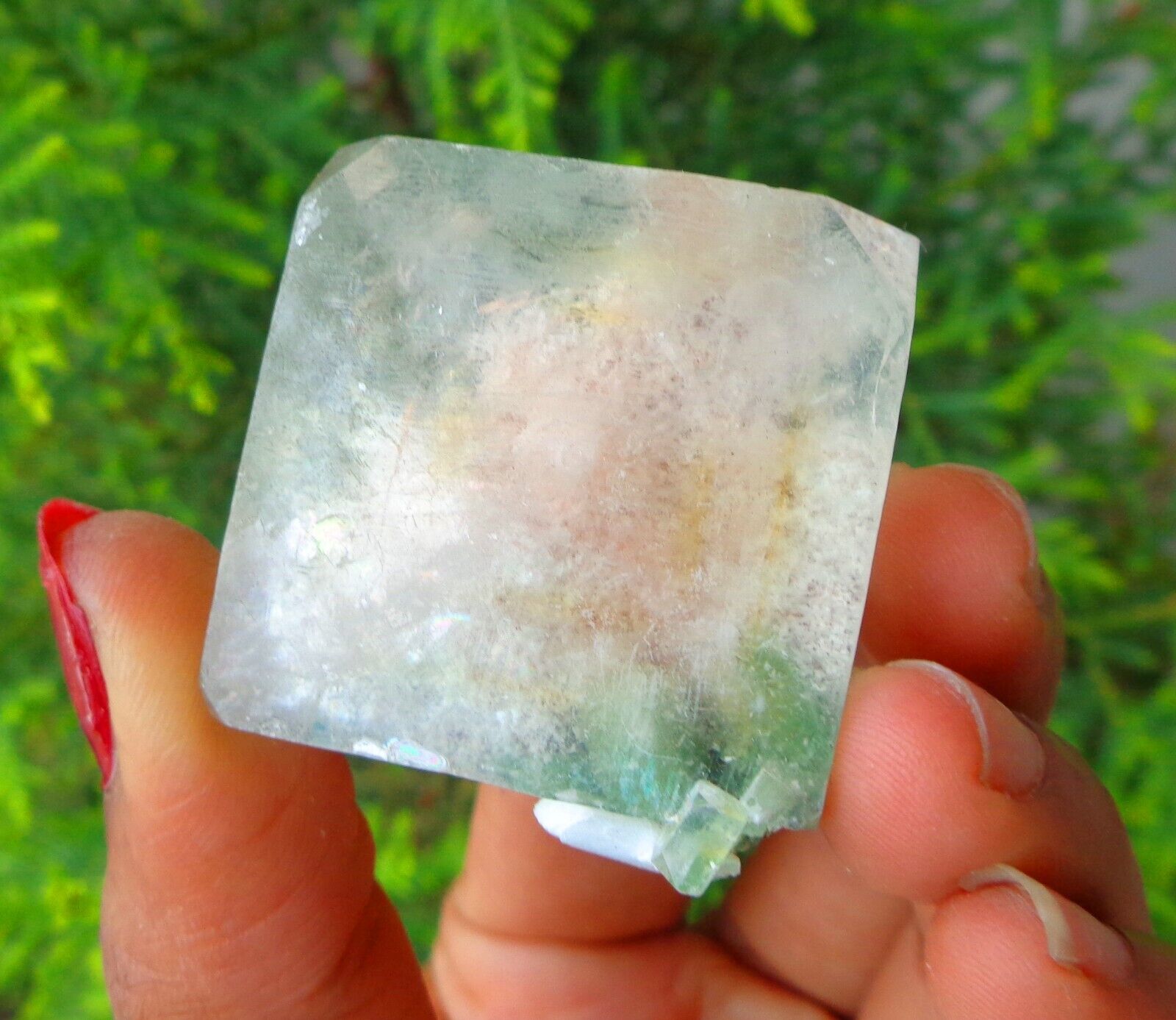 Light Green Apophyllite Crystals Minerals Specimen #F43