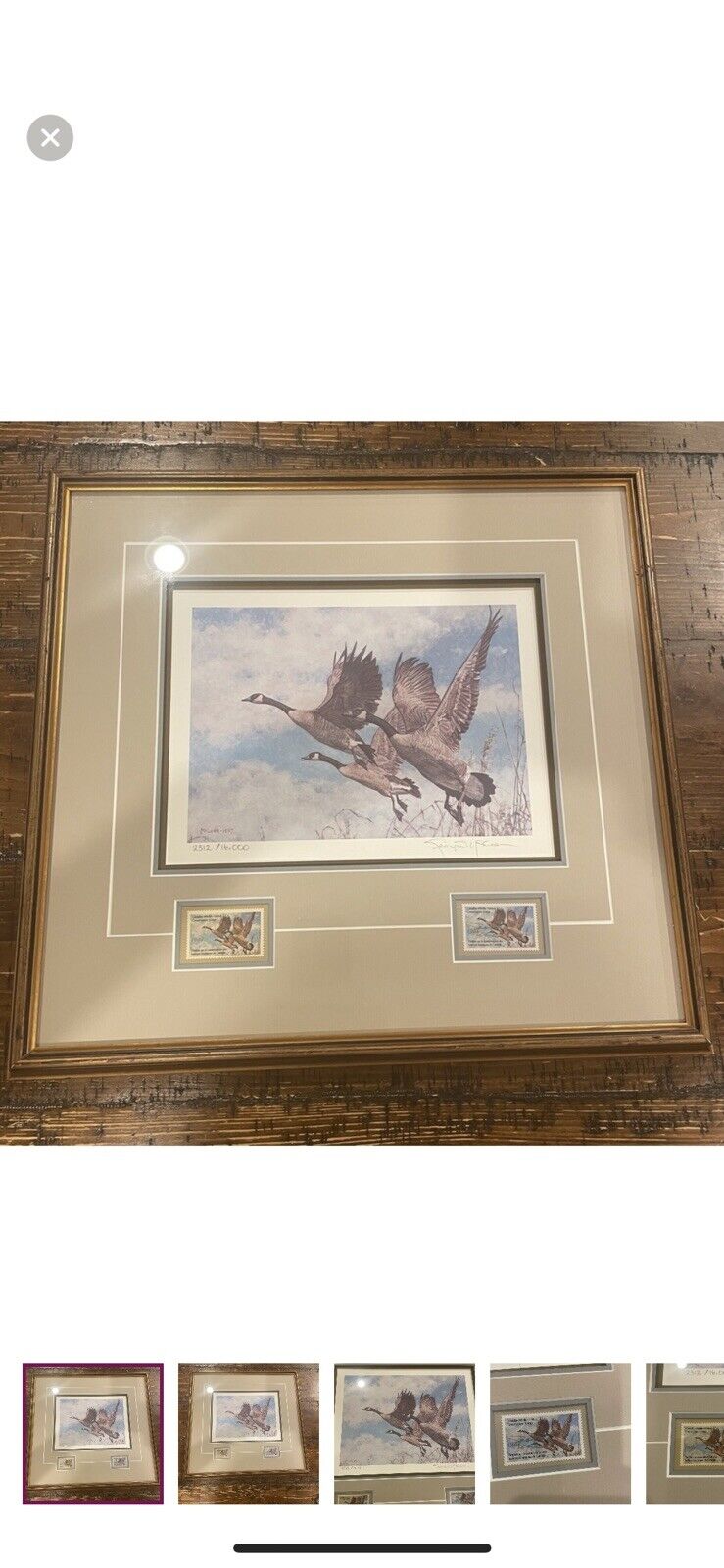 Oregon Waterfowl Geese Framed Print Stamps Signed Michael Sieves 1984