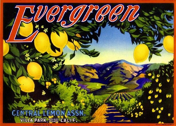 Villa Park Orange County Evergreen Lemon Citrus Fruit Crate Label Art Print