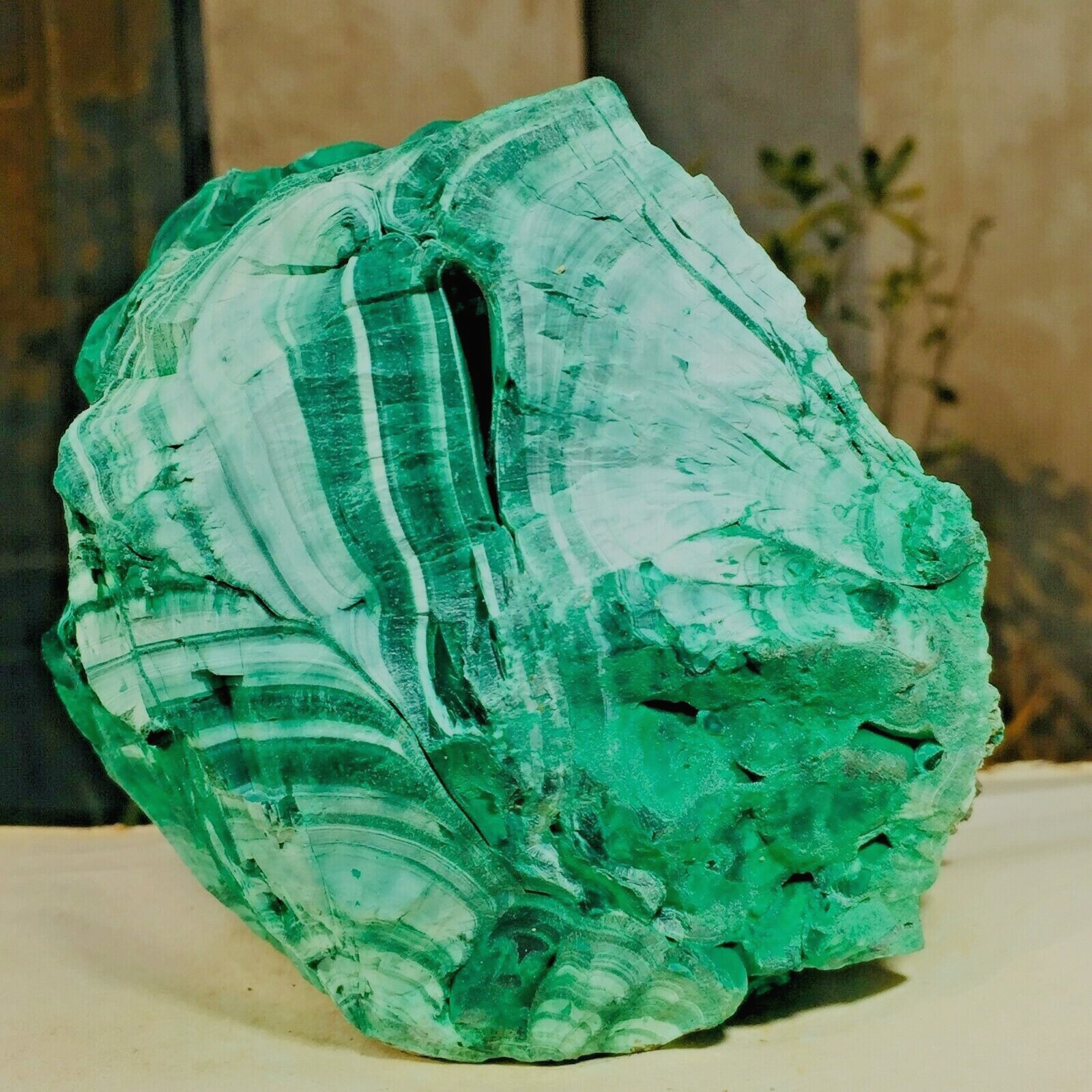 1816g Large Green Malachite Gemstone Crystal Velvety Lustrous Rough Specimen
