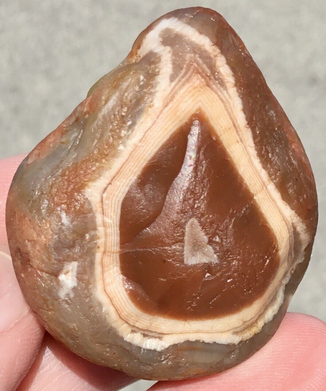 2.5 Oz Lake Superior Agate TOP SHELF High Contrast Two Faced Bold Banding Lsa