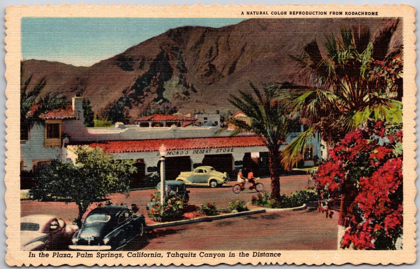  Desmond\'s Desert Store Palm Springs California  Postcard c1930s