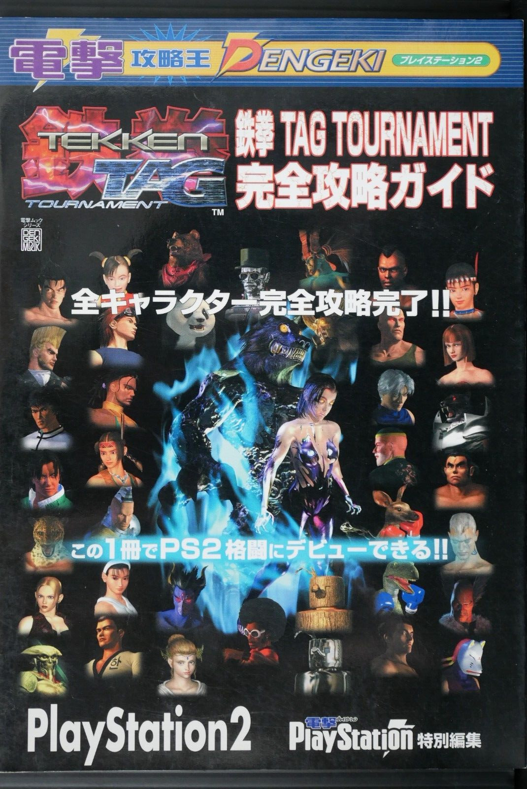 Tekken Tag Tournament Kanzen Kouryaku Guide (Book) - from JAPAN