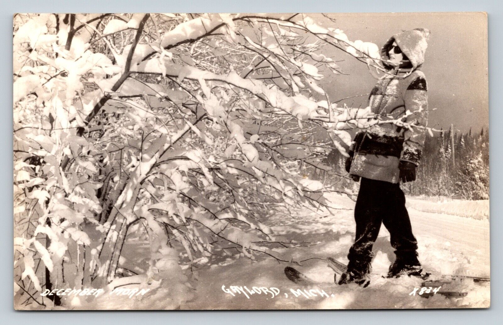 c1941 RPPC December Morning Snow Covered Trees Skier GAYLORD MI VINTAGE Postcard