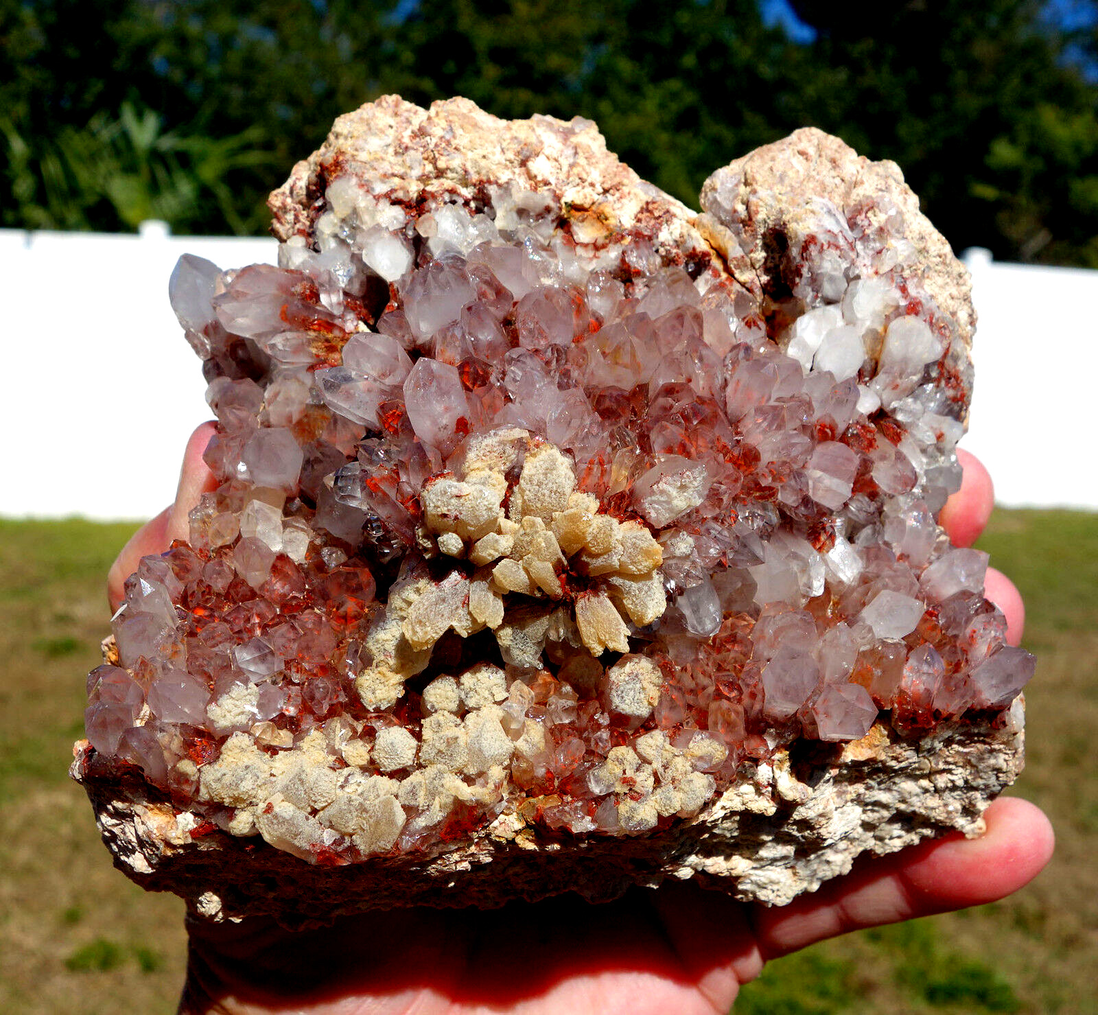 Large ORANGE RIVER Natural Clear Quartz Crystal Points w/ Hematite Red Phantoms