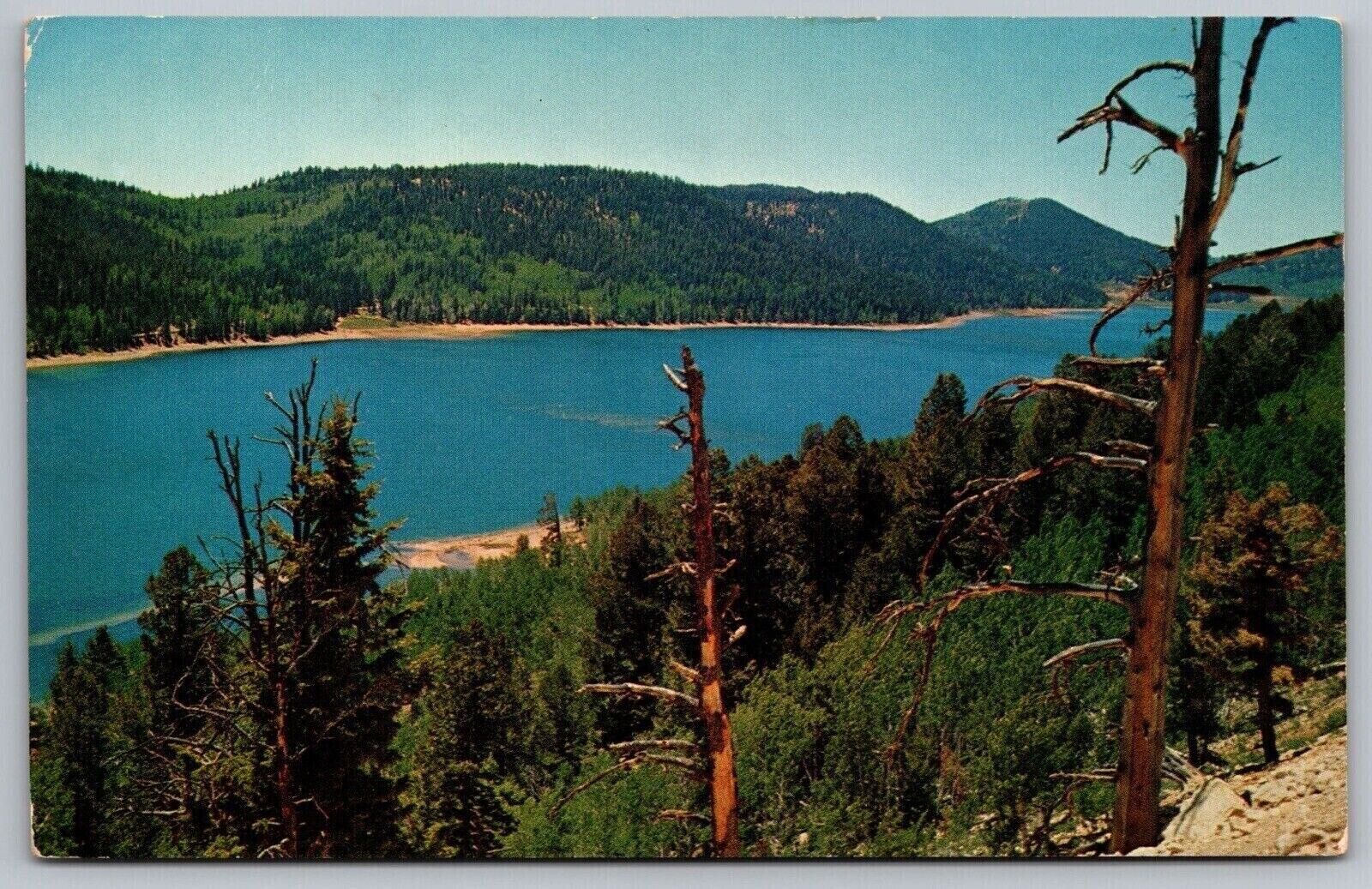 Cedar City Utah Navajo Lake Scenic Landscape Chrome Cancel WOB Postcard