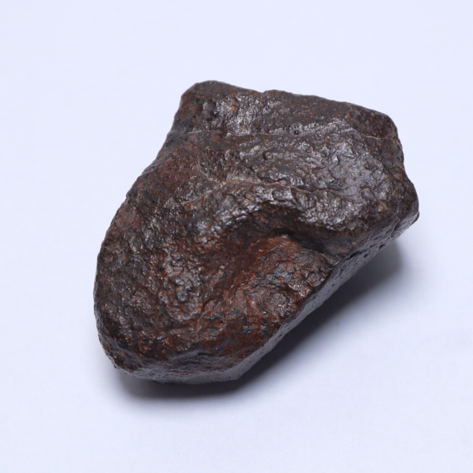 59g Unclassified chondrite, NWA meteorite B2630