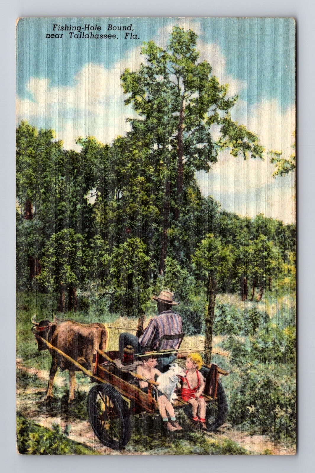Tallahassee FL-Florida, Fishing Hole Bound, Antique, Vintage Postcard