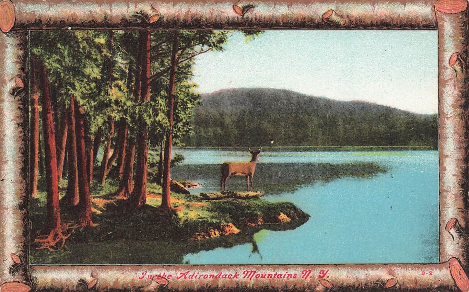 LP75   Adirondack Mountains Deer New York Postcard