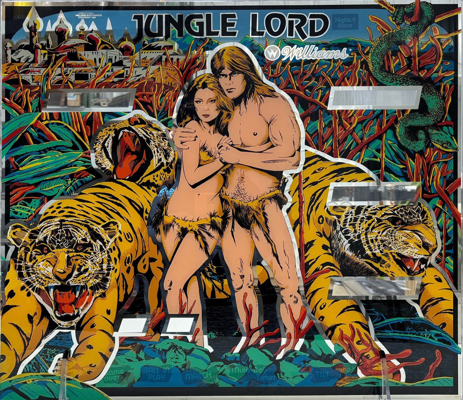 Williams - Jungle Lord Mirrored Back Glass - First Time Available in Years