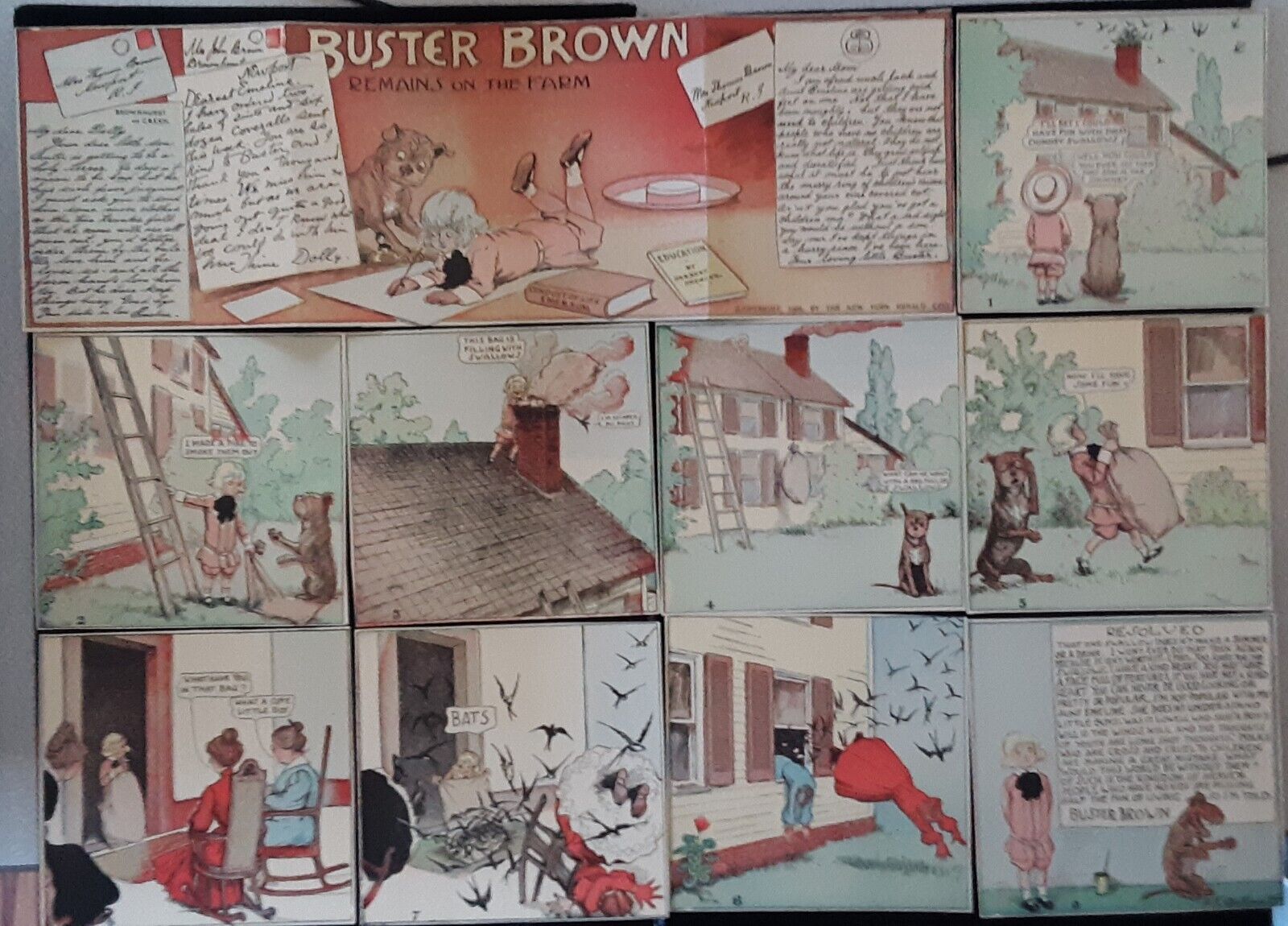 Buster Brown Farm Tige Outcault 1905 New York Herald Comic Book Plates Proofs?