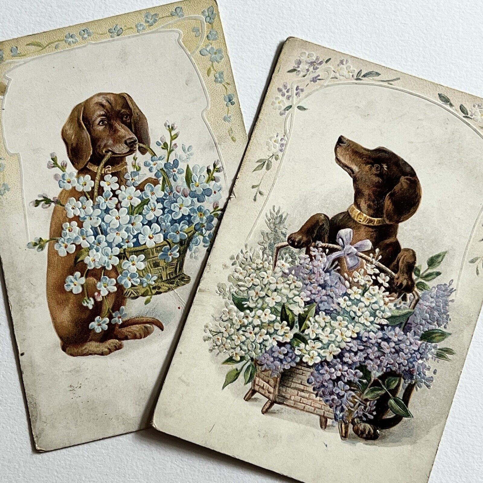 Antique Embossed Postcard Beautiful Set Dachshund Weiner Dog Flowers Germany