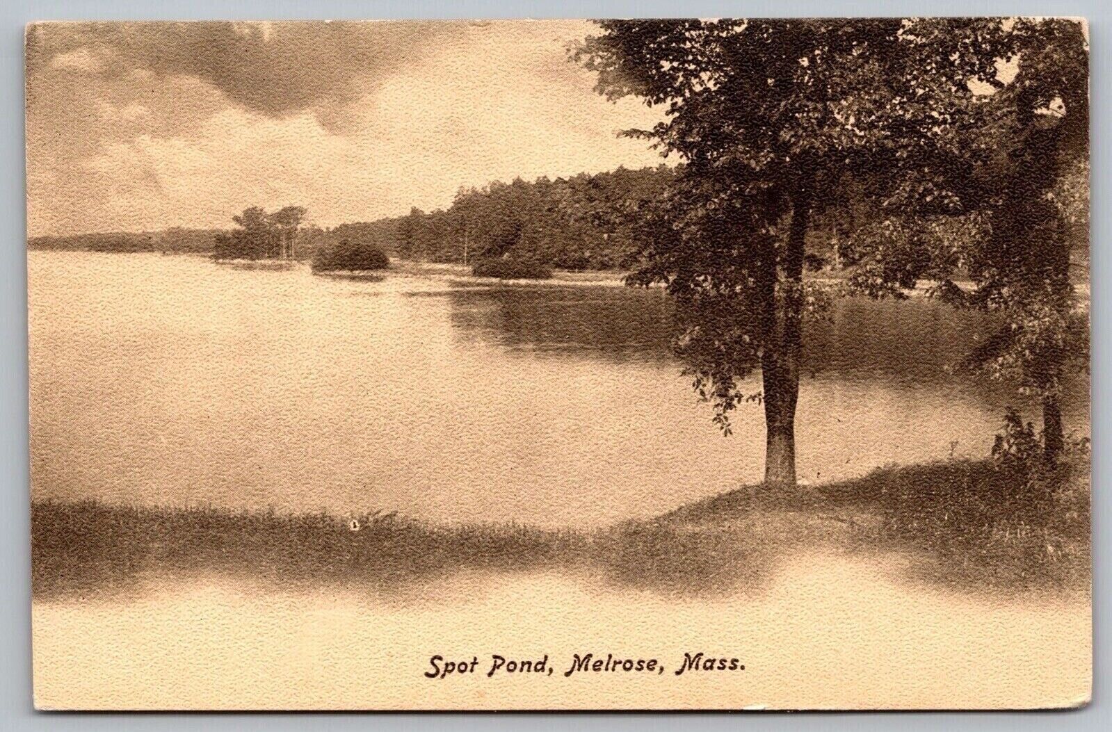 Spot Pond Melrose Massachusetts MA Antique Postcard UNP Unused UDB