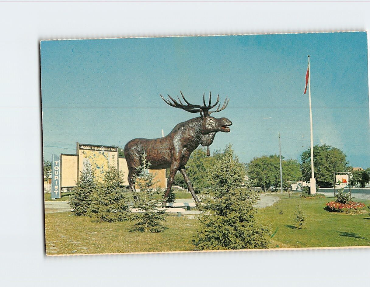 Postcard Moose Statue Trans-Canada Highway Dryden Ontario Canada North America