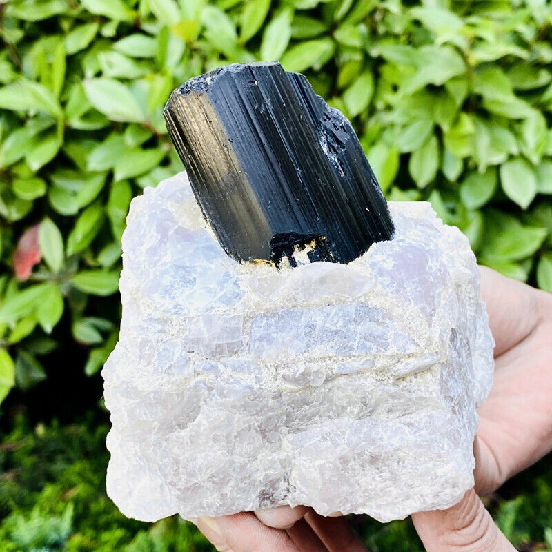 2.66LB Top natural black tourmaline quartz crystal mineral specimen