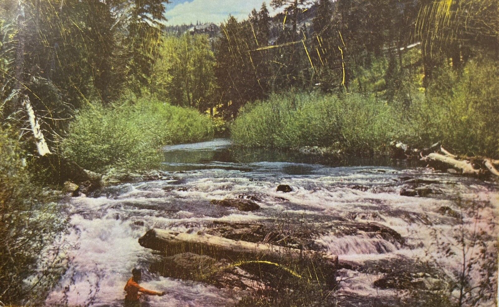 Fishermans Paradise Western Mountains Anglers Trout Salmon Steelhead Postcard 