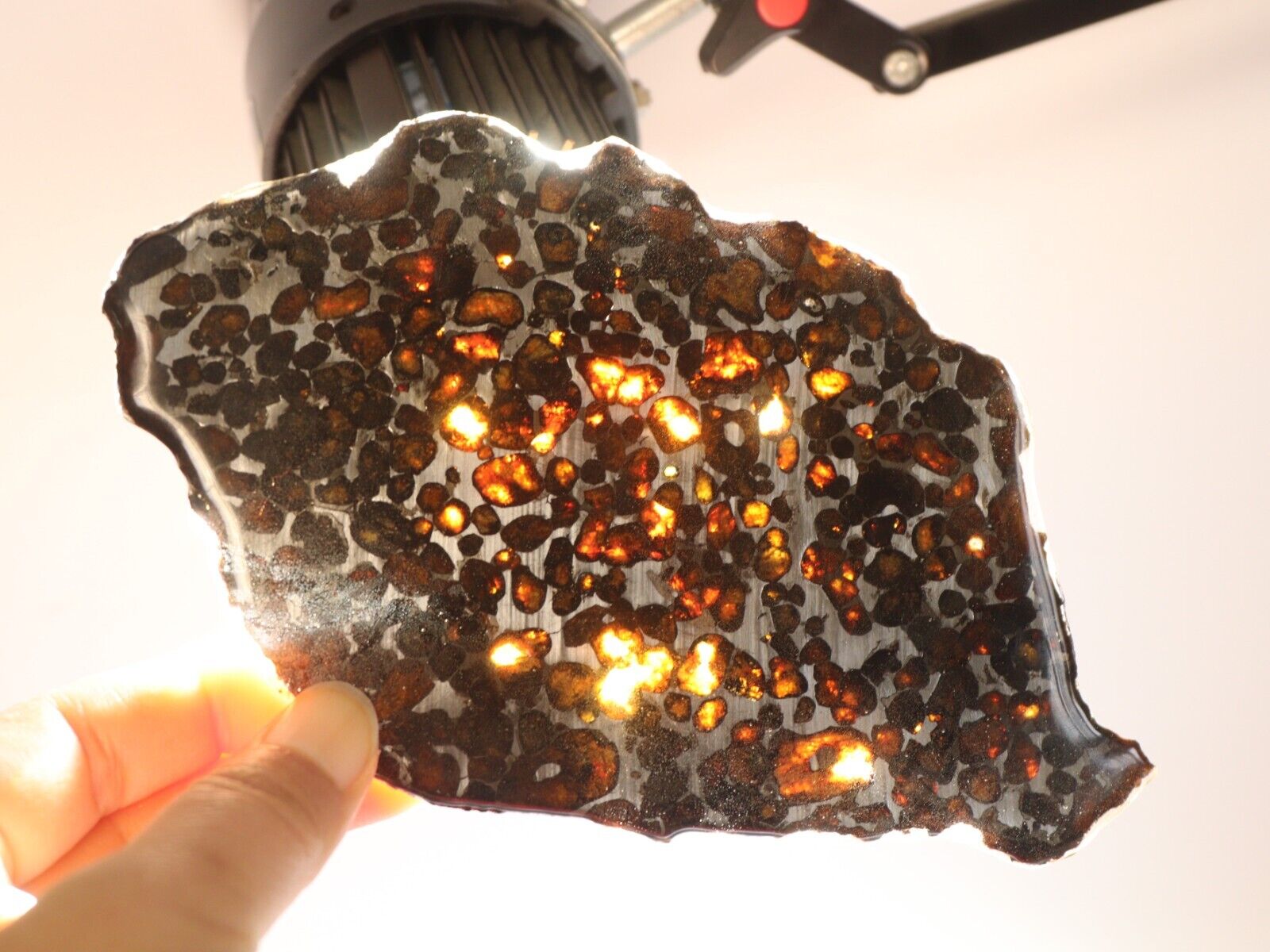 133g Natural meteorite,Slice olive meteorite-from Kenya SERICHO,collection N3740
