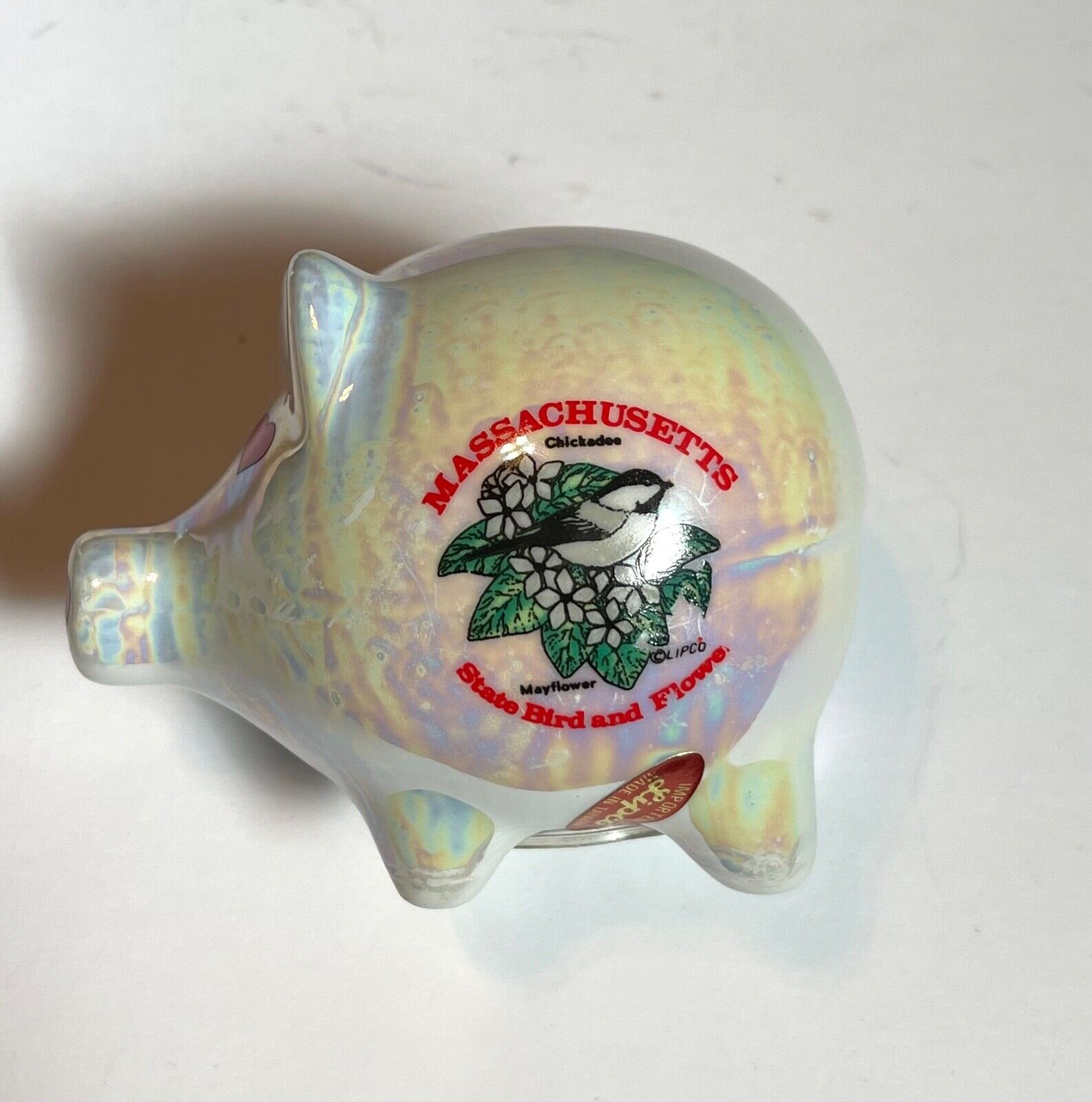 Massachusetts Souvenir Piggy Bank Ceramic Small Glazed Design
