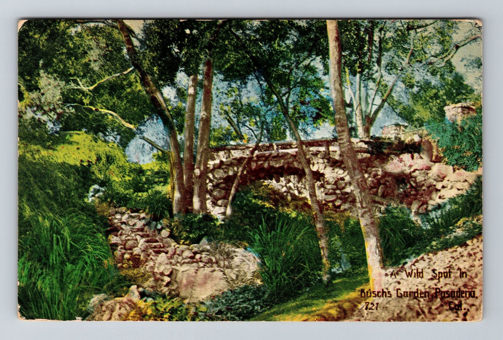 Pasadena CA-California, Wild Spot In Bush Gardens, Scenic, Vintage Postcard
