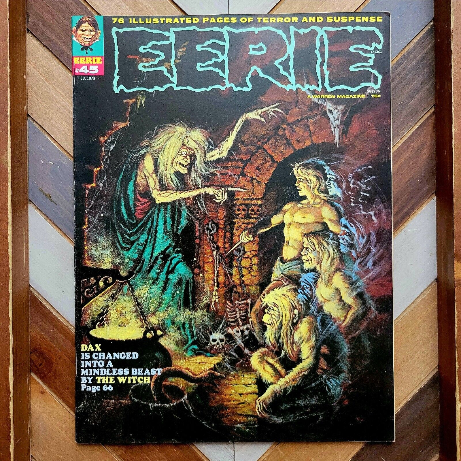 EERIE #45 VF (Warren 1973) Steve Skeates, Esteban Maroto, Luis Dominguez Cover