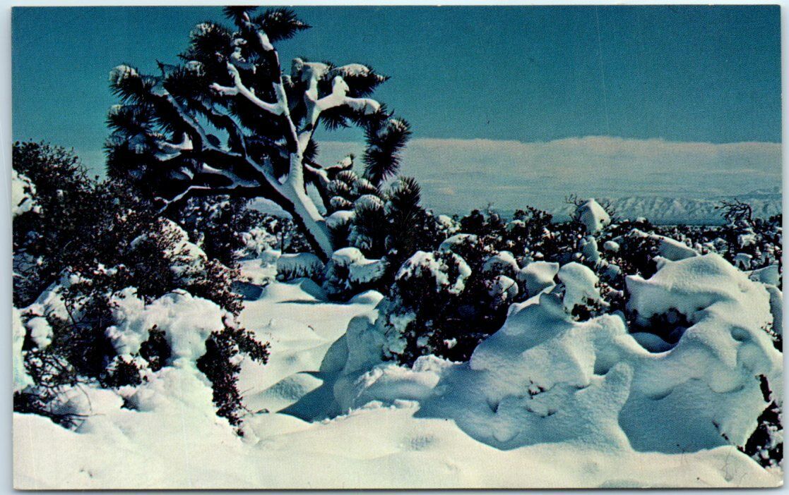 Postcard - Winter On The Desert