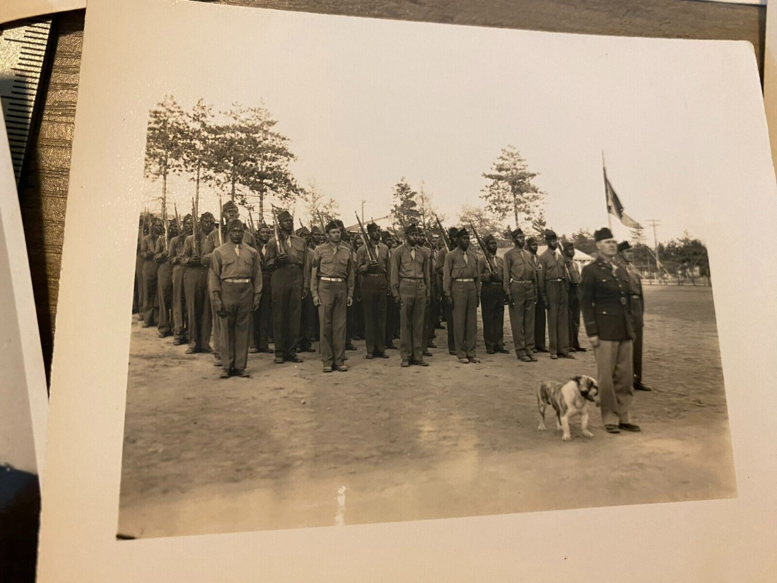 WWII Photo Lot African American Commander w Unit photo and Bulldog