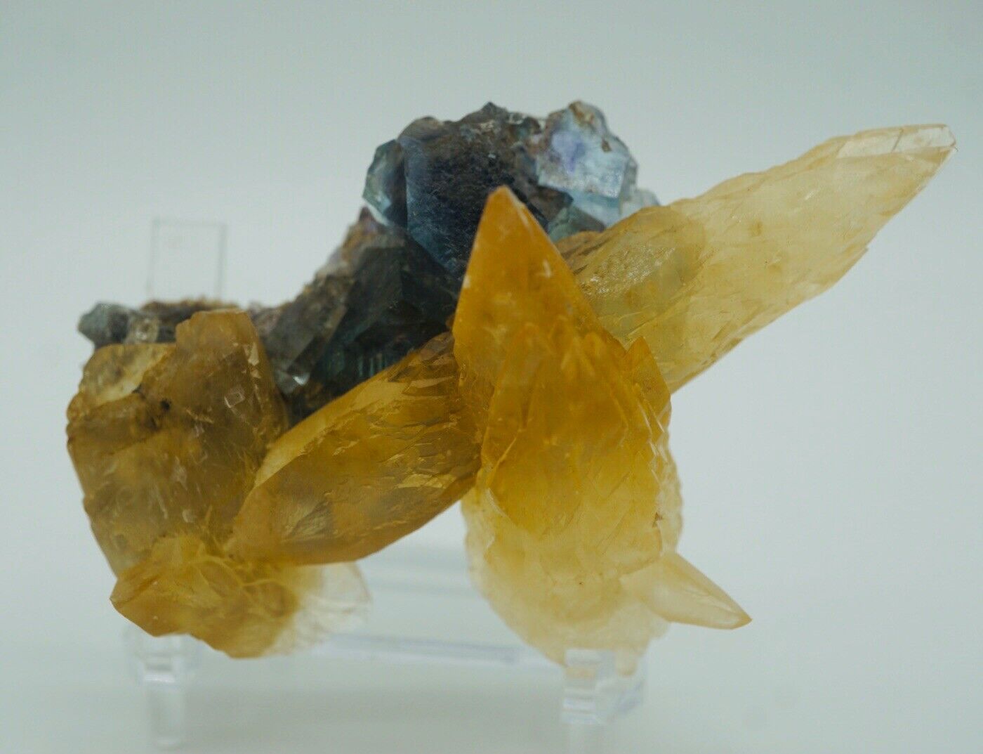 Blue Phantom Fluorite On Golden Calcite - Minerva #1 Mine Illinois