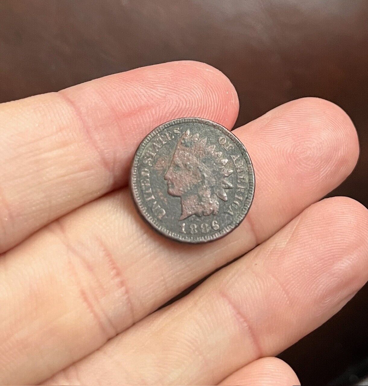 Nice Relic 1886 Indian Head Penny Coin dug Fort Thomas Arizona Apache Wars