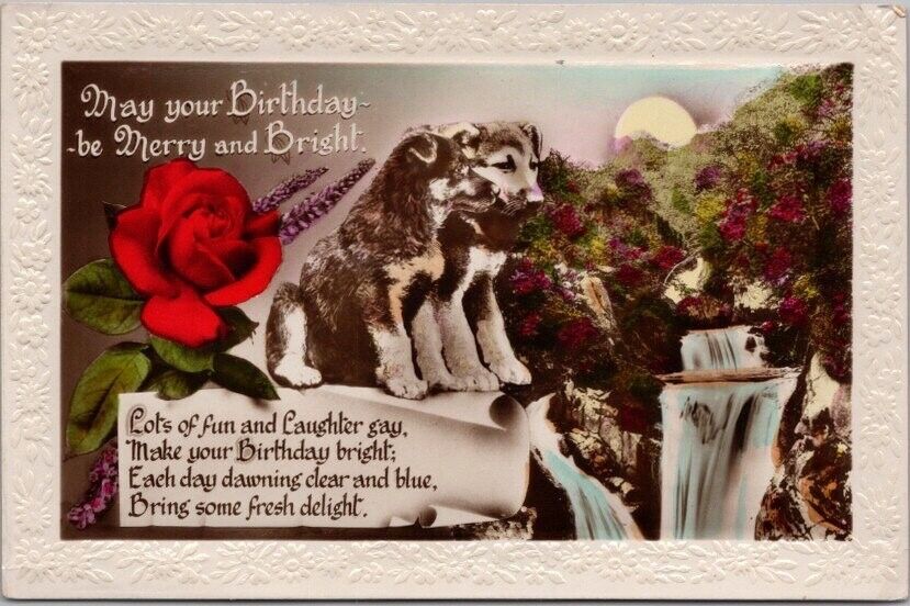 c1910s HAPPY BIRTHDAY Embossed GEL Postcard Puppy Dogs / Hand-Colored Photo