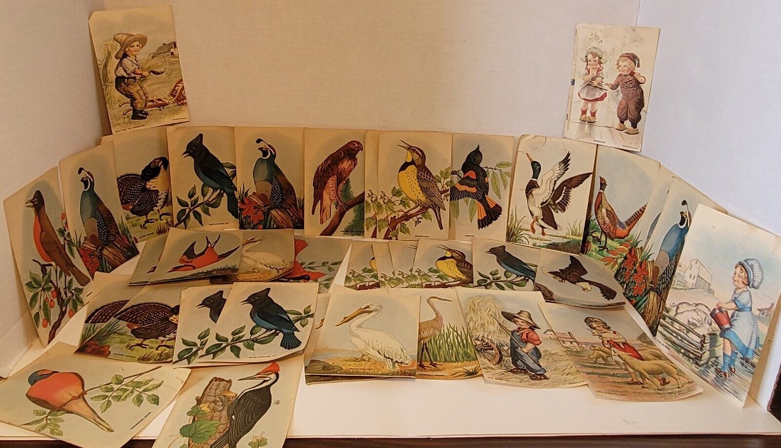 Huge Lot Vintage Olympic Bread Trade Cards Birds Collection & Others Victorian