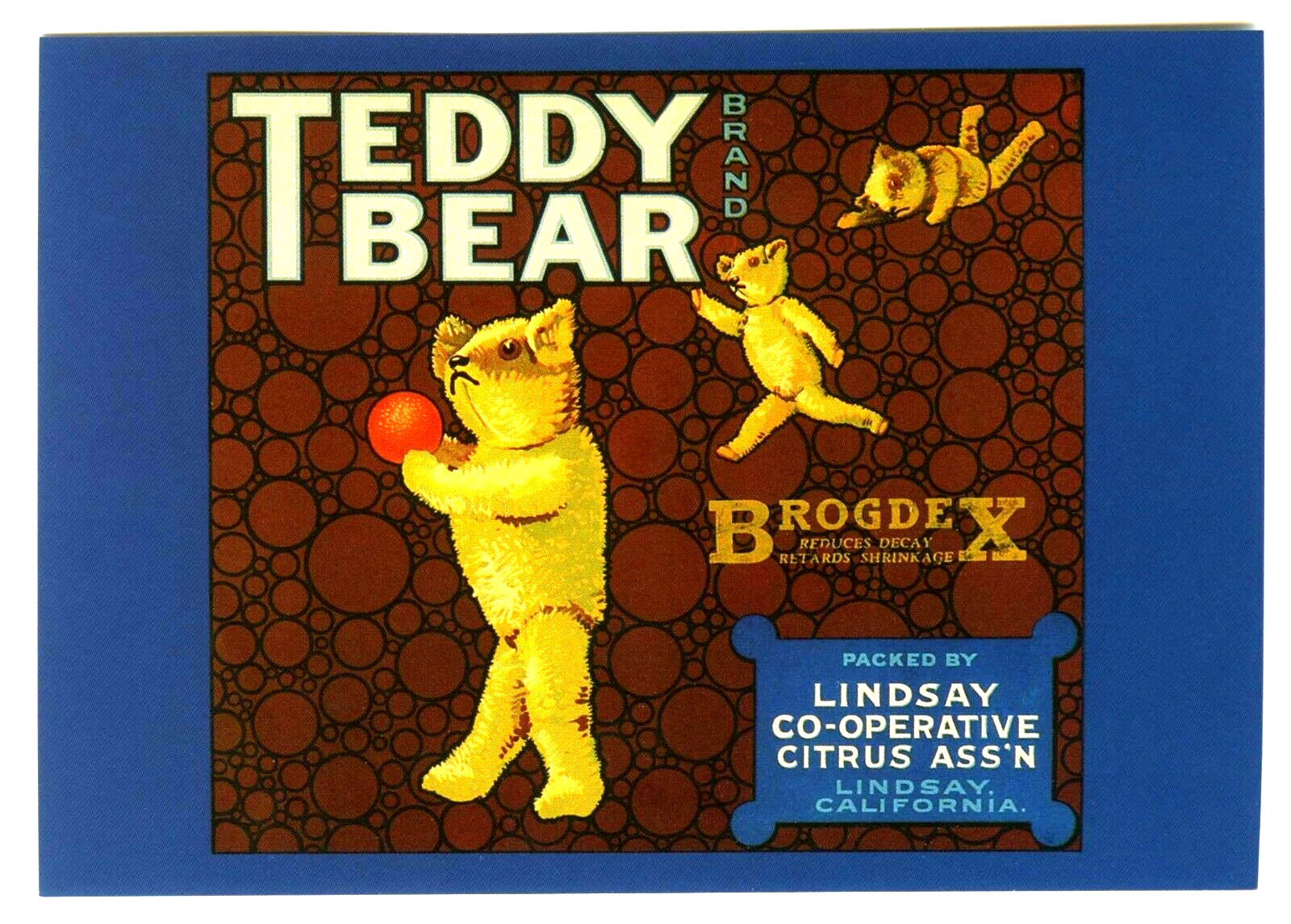 TEDDY BEAR~AUTHENTIC HISTORICAL FRUIT CRATE LABEL LITHO ART~NEW 1986 POSTCARD