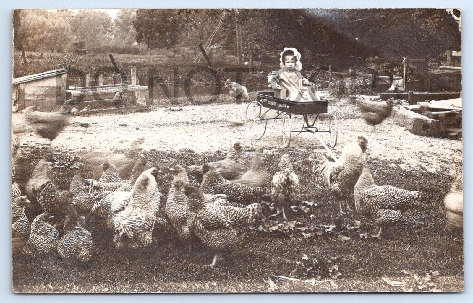 Postcard RPPC Greenfield OH Child In Antique Wagon Chicken Yard Wornstaff Family