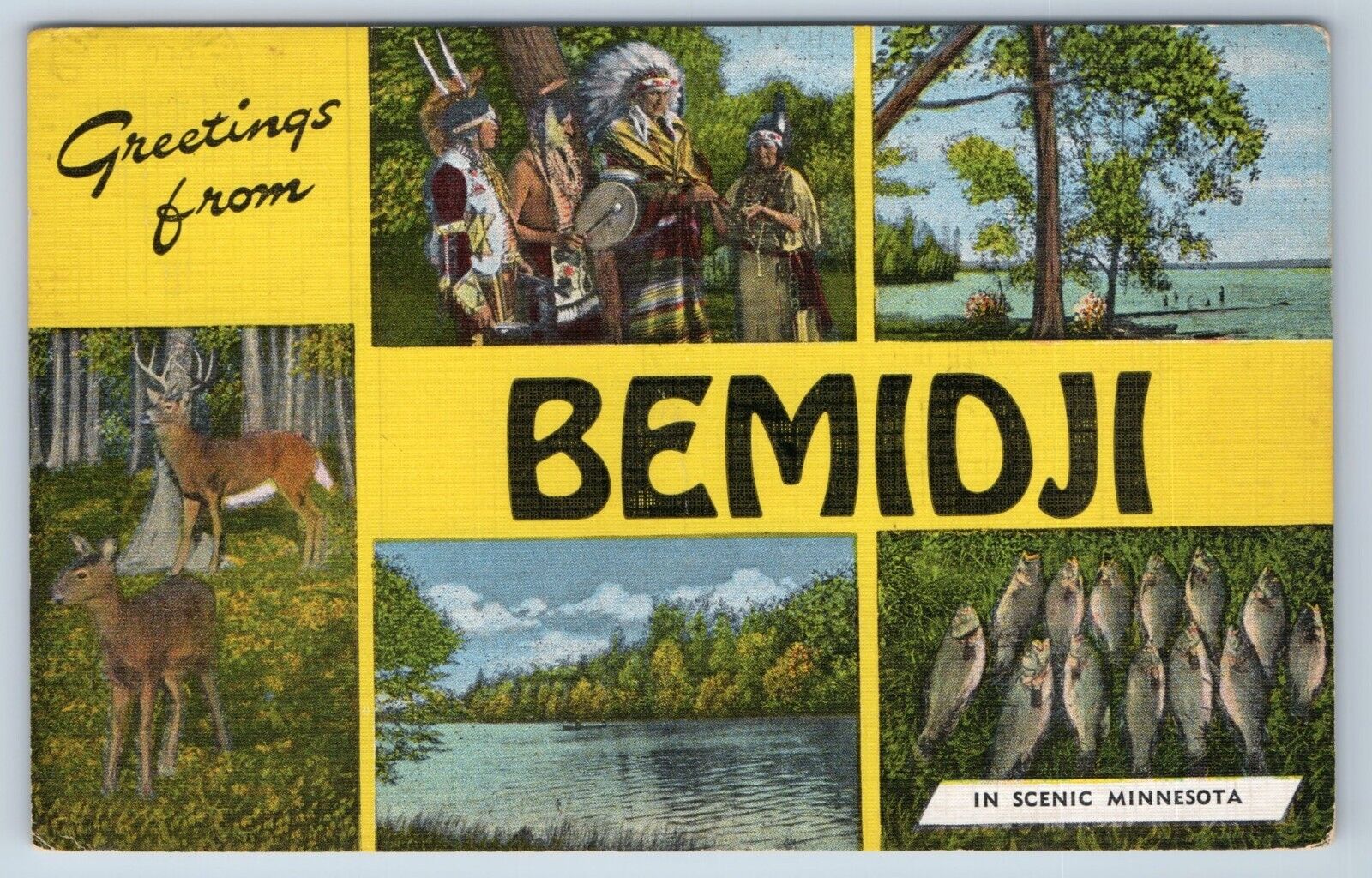 Postcard Greetings From Bemidji in Scenic Minnesota Multiview Native Americans