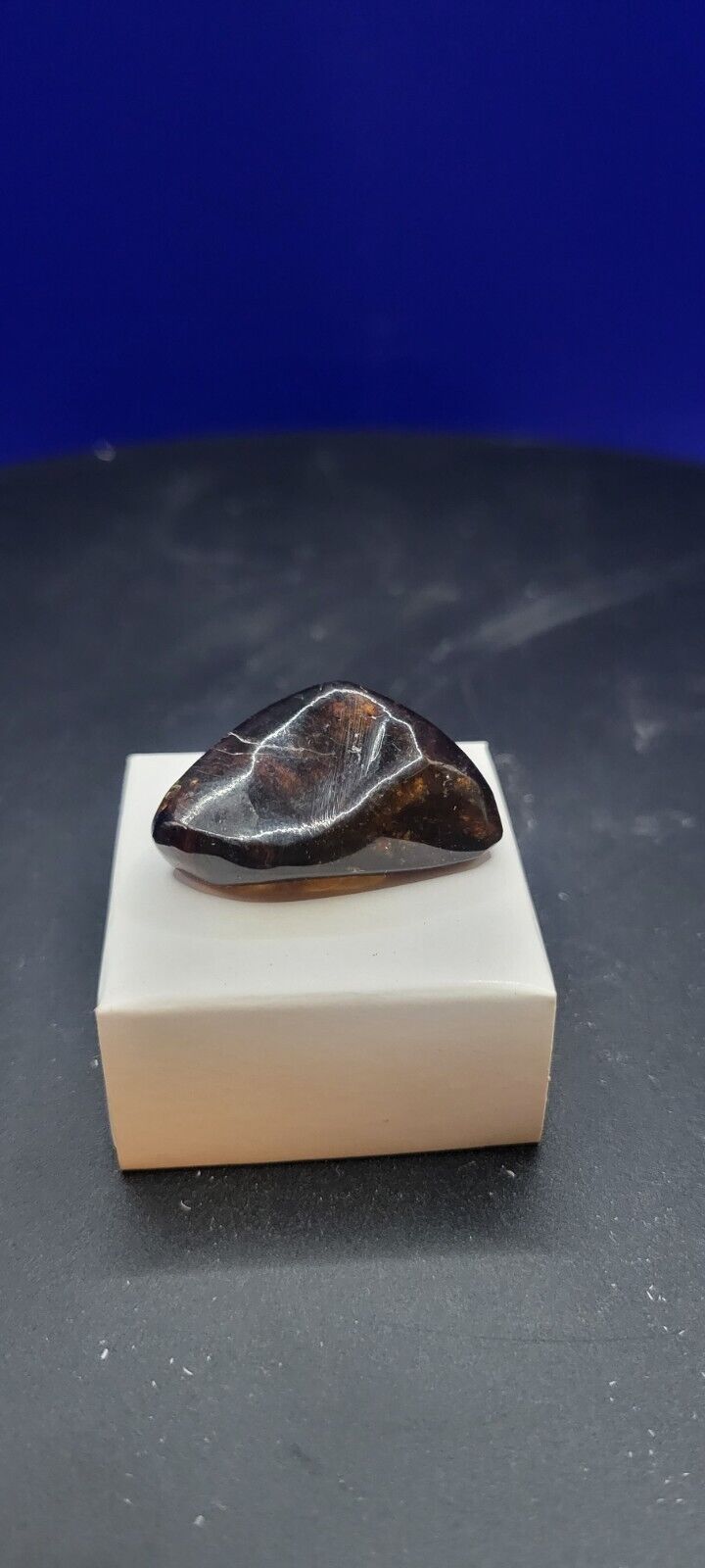 Genuine Fossil Amber from the Dominican Republic (REAL) (Jurassic Park Site)AF5