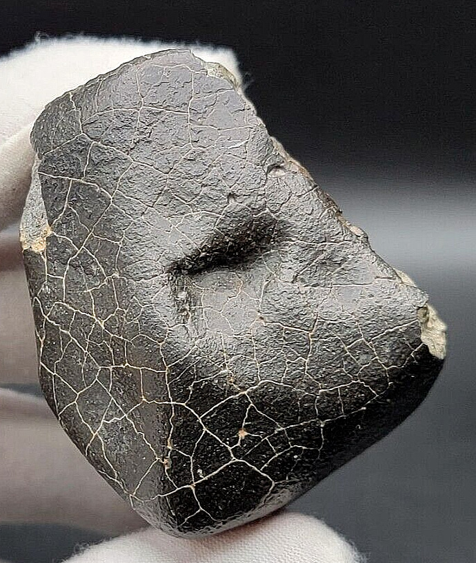 NWA 15525 (253.59g) Meteorite, LL6 Chondrite, AWESOME contraction cracks