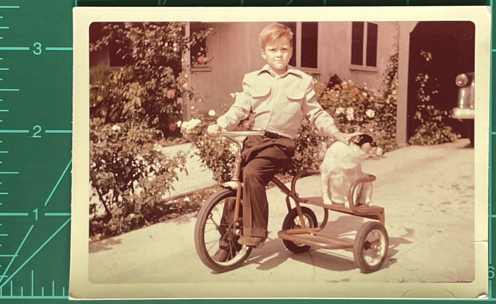 Vintage Photo Color Snapshot Cute Young Boy Giving His Dog A Ride