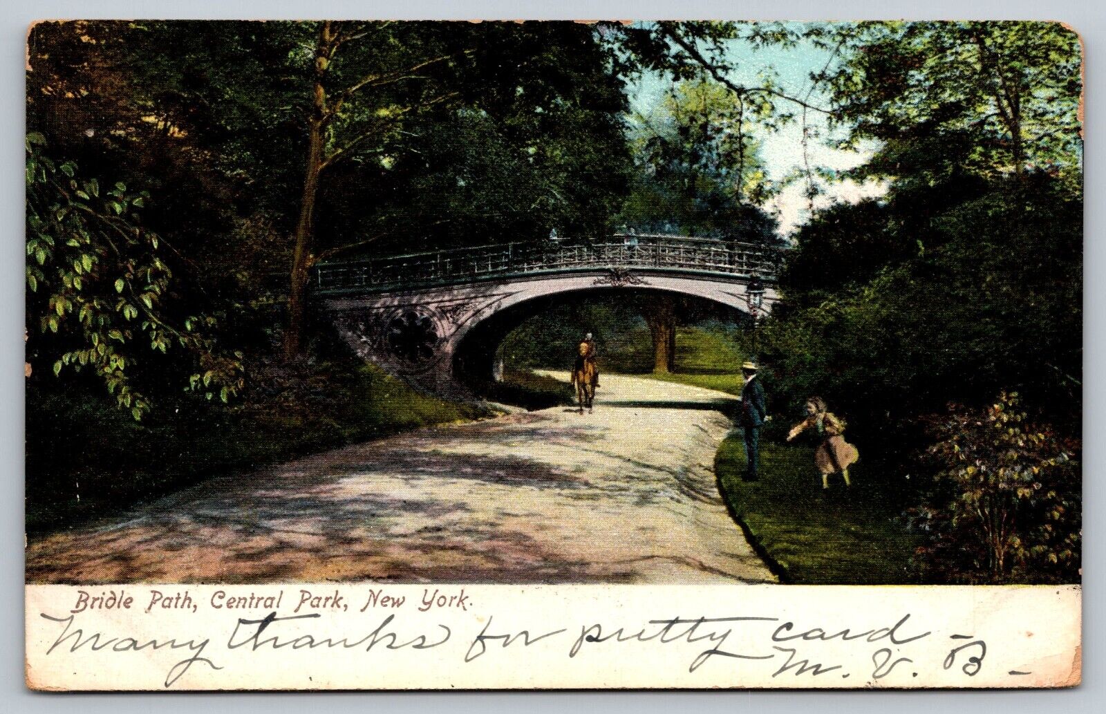 Bridle Path, Central Park, New York, vintage post card 1907