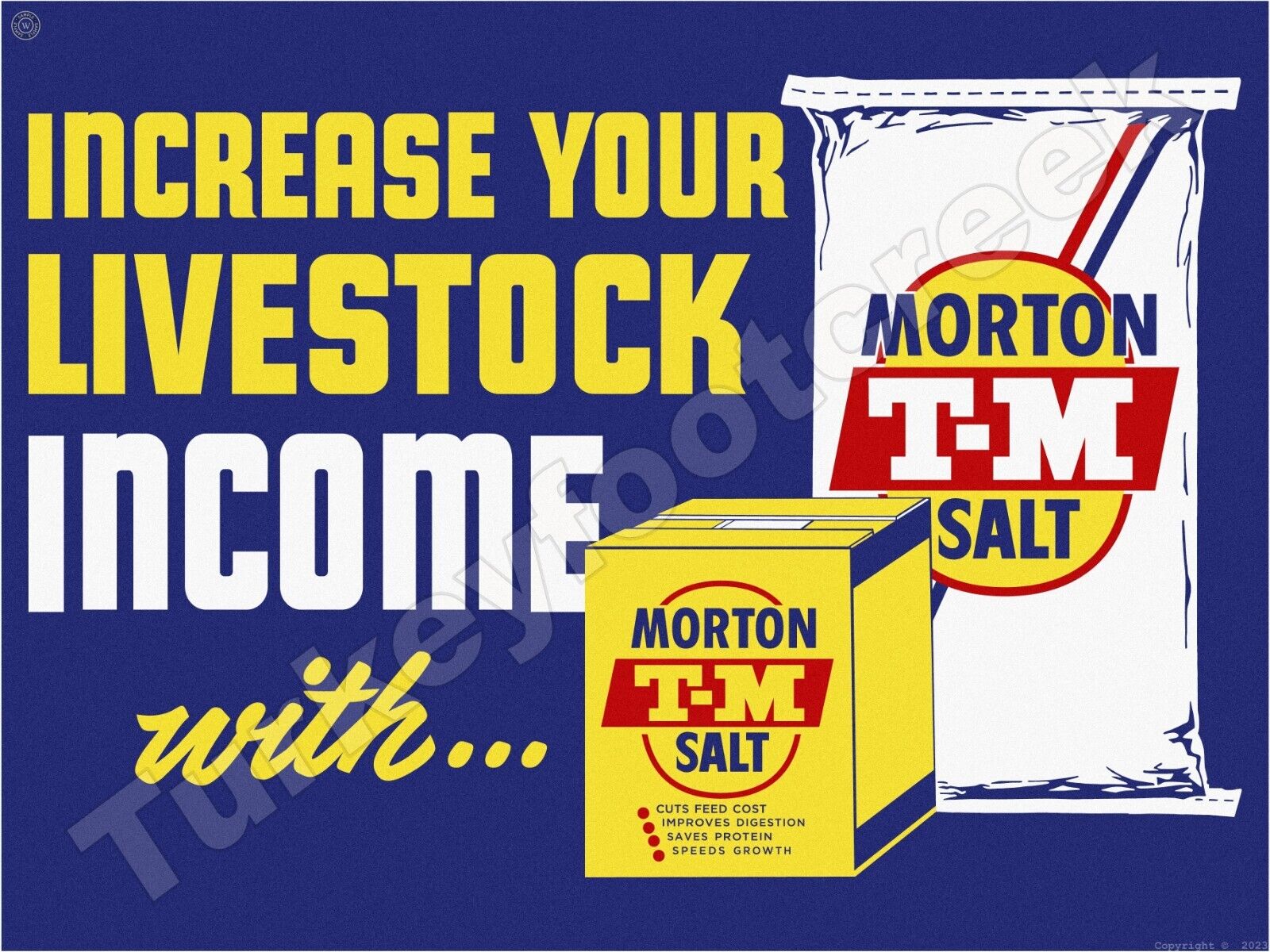 Morton T-M Salt  9\