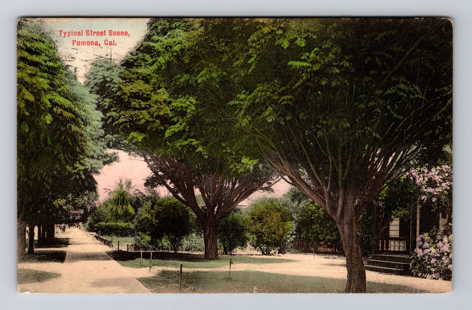 Pomona CA-California, Typical Street Scene, c1907 Vintage Souvenir Postcard