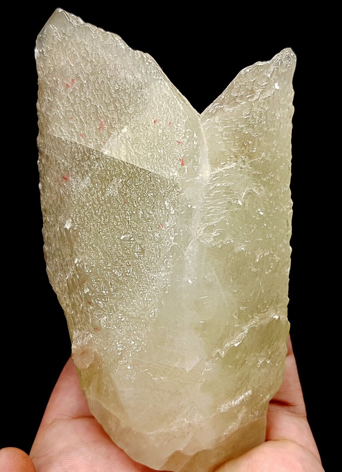 478 Gram Top Quality Huge Size Dog Tooth Calcite Crystal @ Baluchistan Pakistan