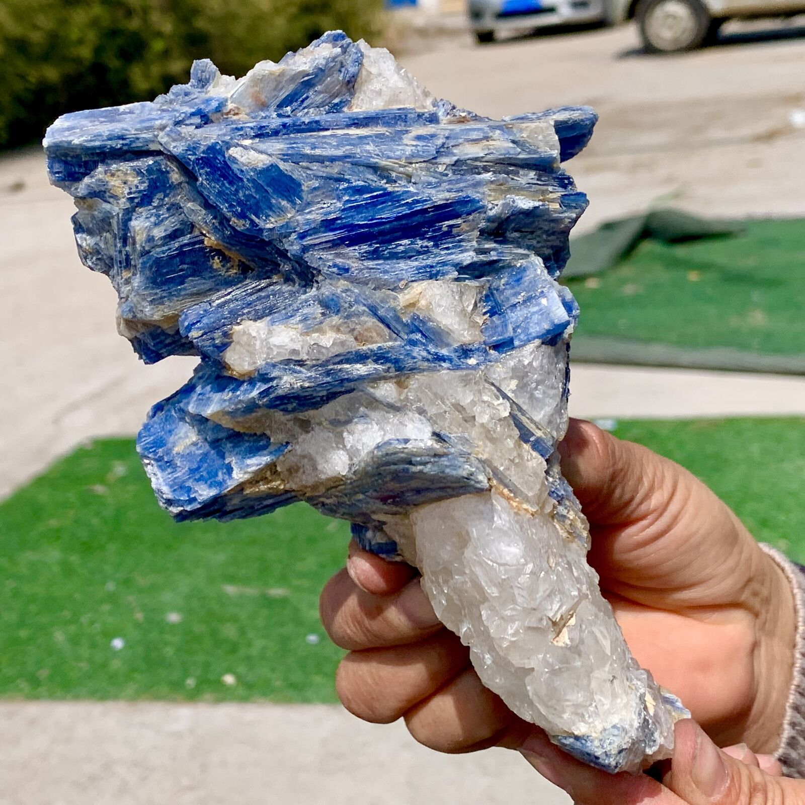1.95LB Rare Natural beautiful Blue KYANITE with Quartz Crystal Specimen Rough