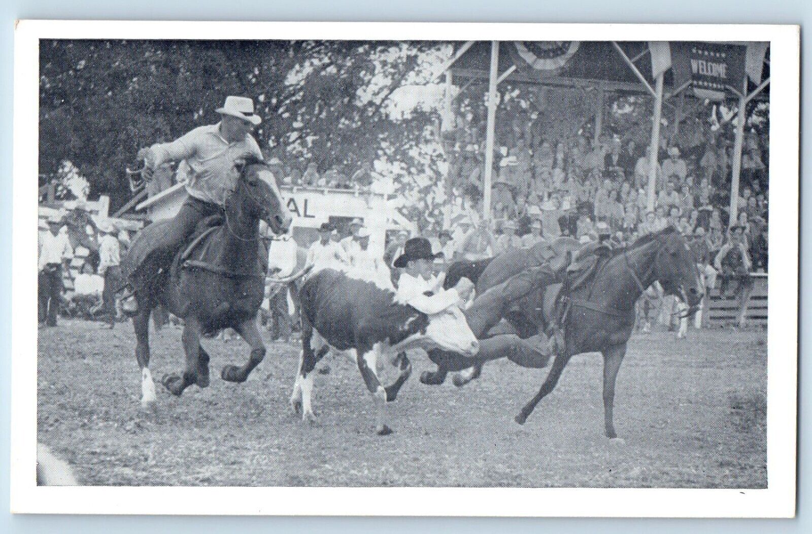 1941 Iowa\'s Championship Rodeo Horse Cowboy Sidney Iowa Vintage Antique Postcard