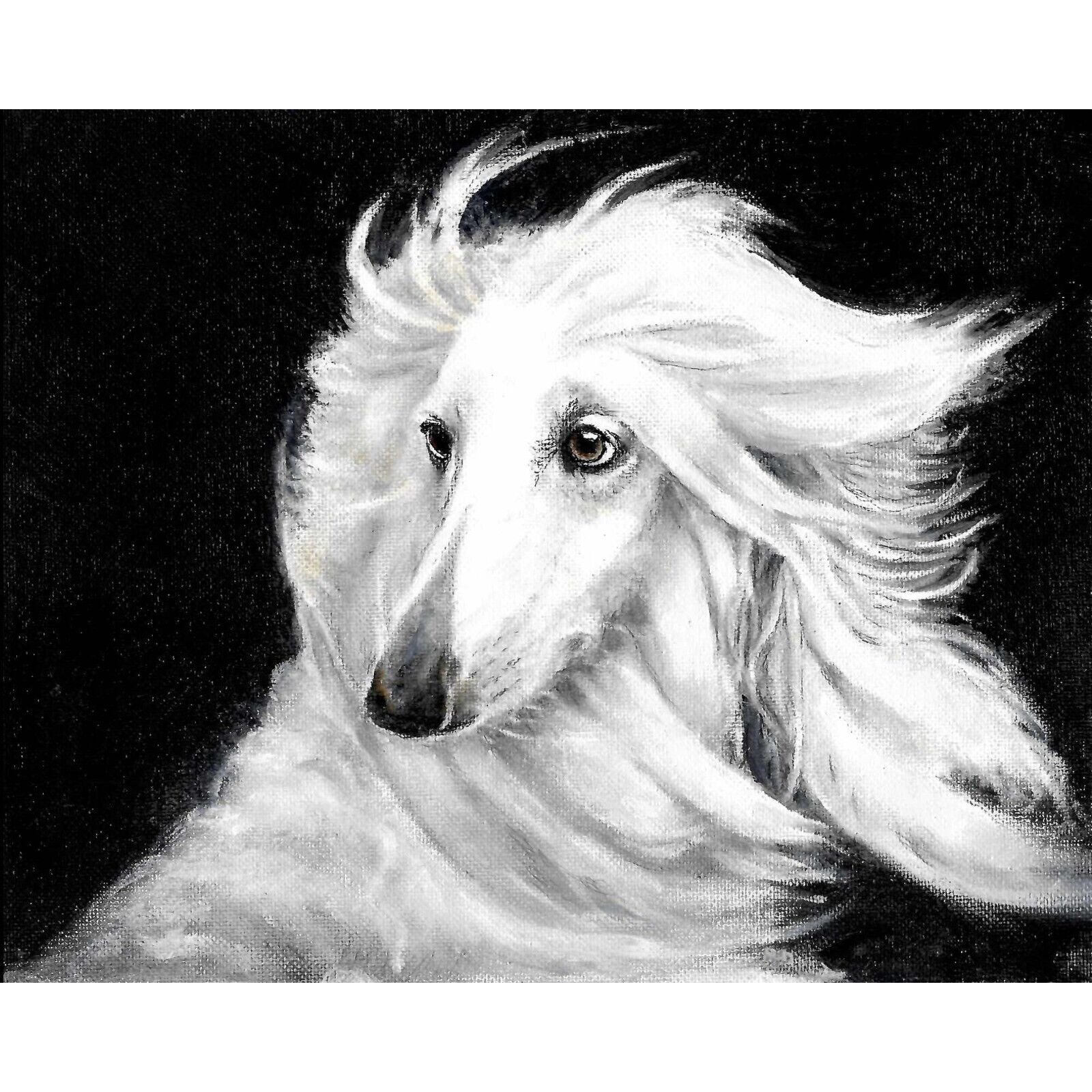 ✿ ORIGINAL Oil Dog Portrait Painting AFGHAN HOUND White Artist Signed Artwork