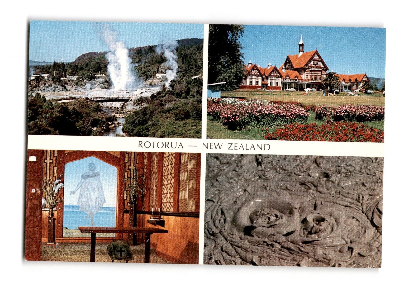 ROTORUA - NEW ZEALAND Vintage Chrome Postcard