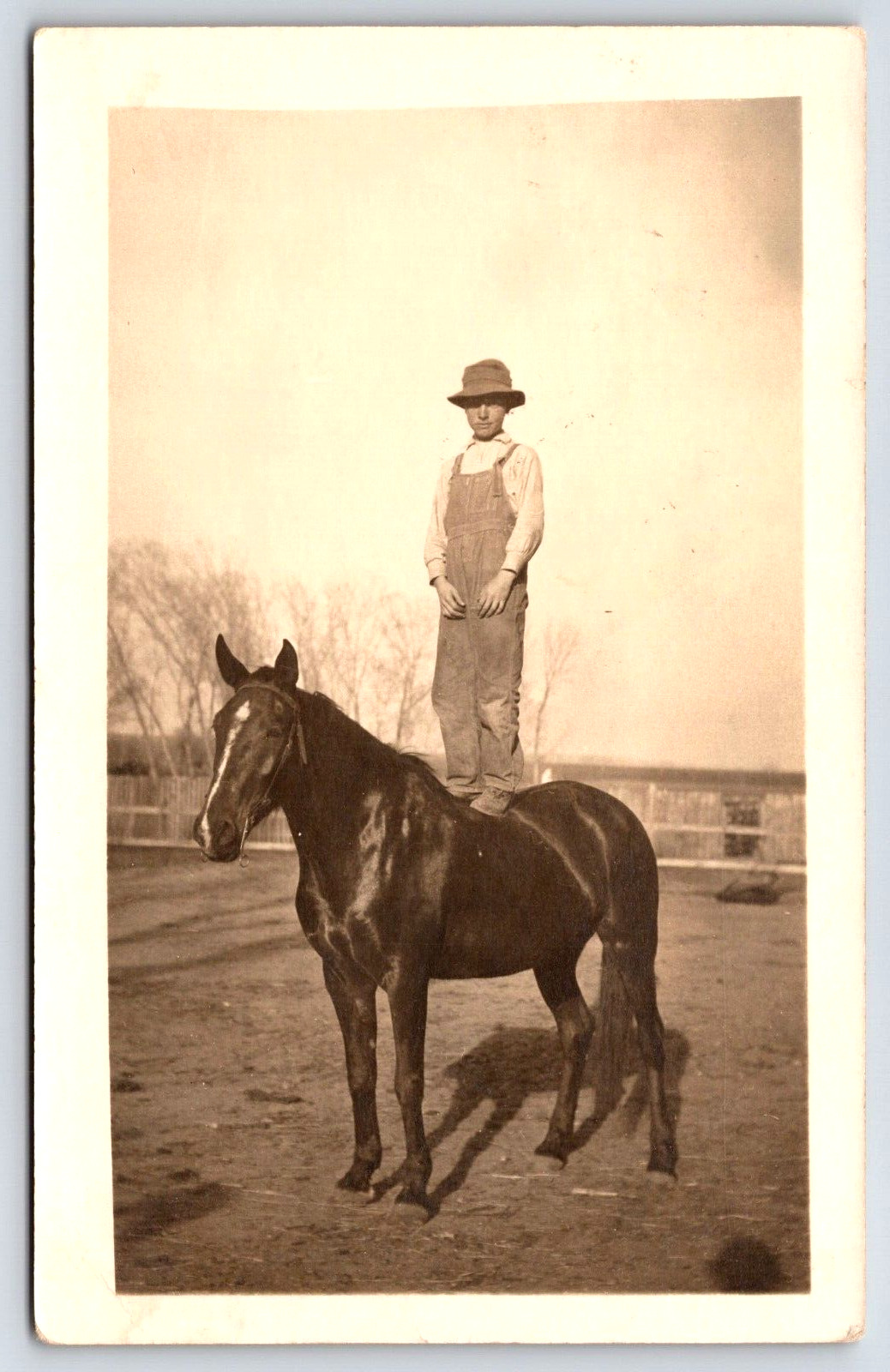 Antique RPPC Farm Boy Standing on top of Handsome Horse A25