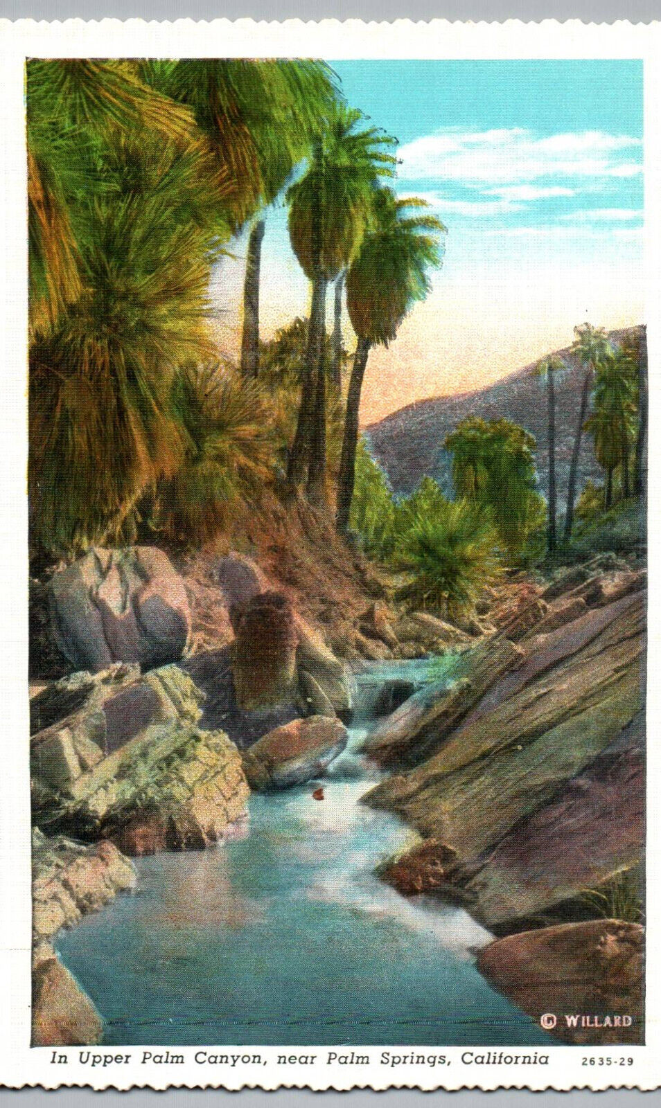 Palm Springs CA Postcard Upper Palm Canyon Palm Trees Stream Vintage California