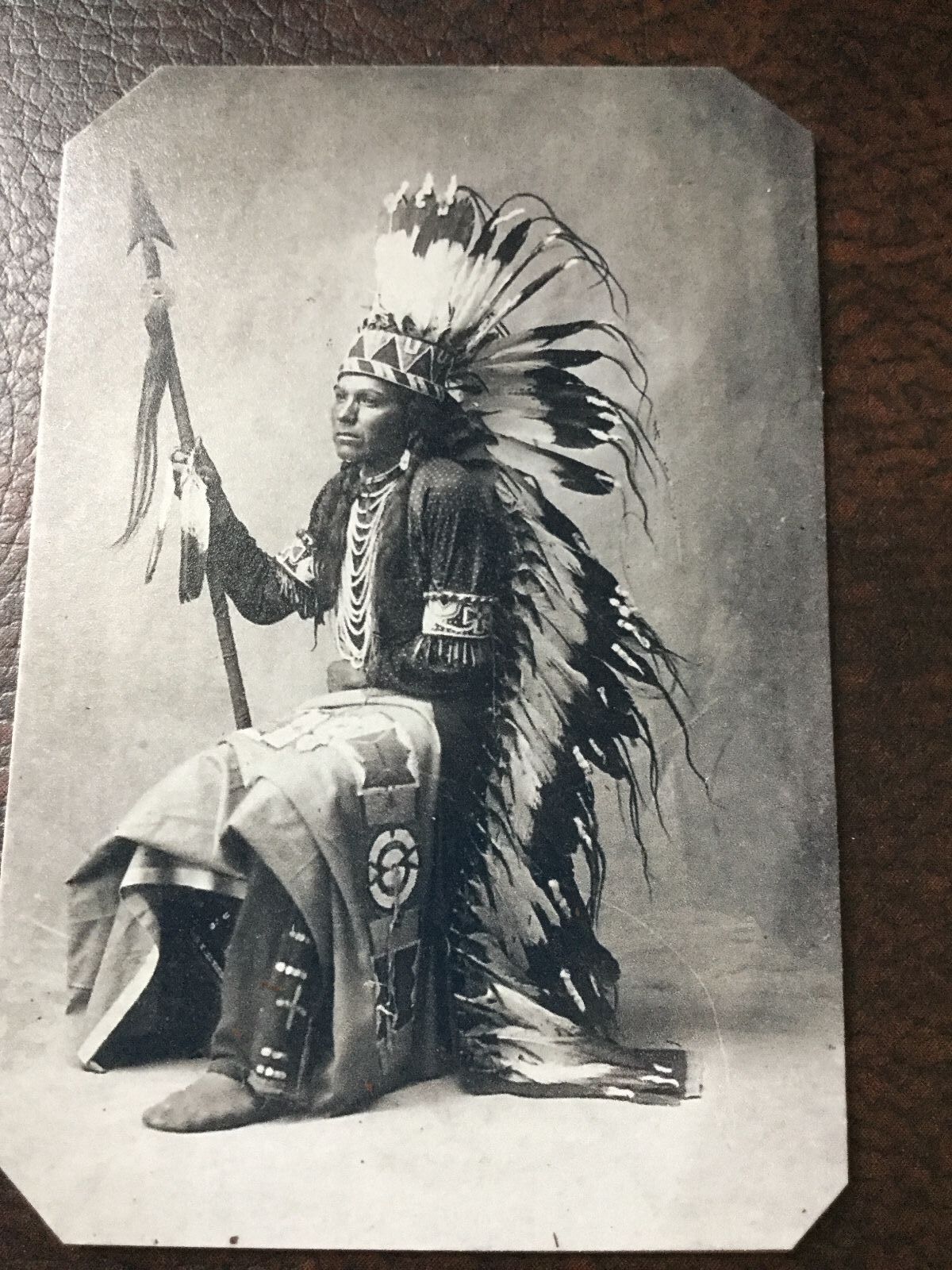 Native American Chief With Fantastic War Bonnet tintype C327RP