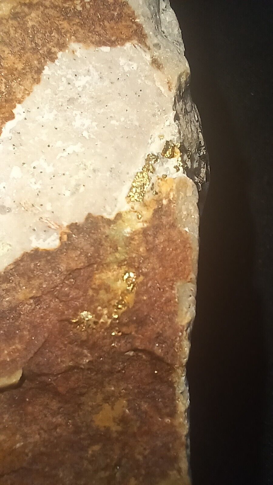771.107 Grams High Grade Gold Ore Beautiful Siltstone  Estimated 1.10% Gold