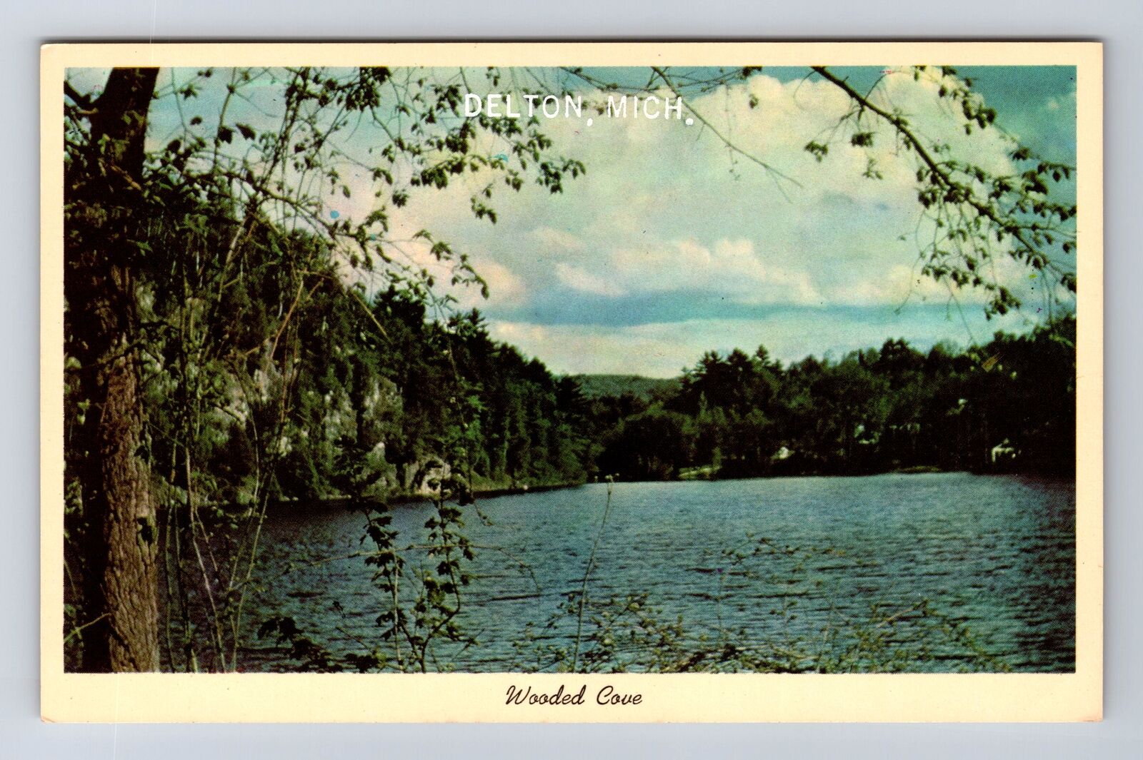 Delton MI-Michigan, General Greeting Panoramic View Wooded Cove Vintage Postcard