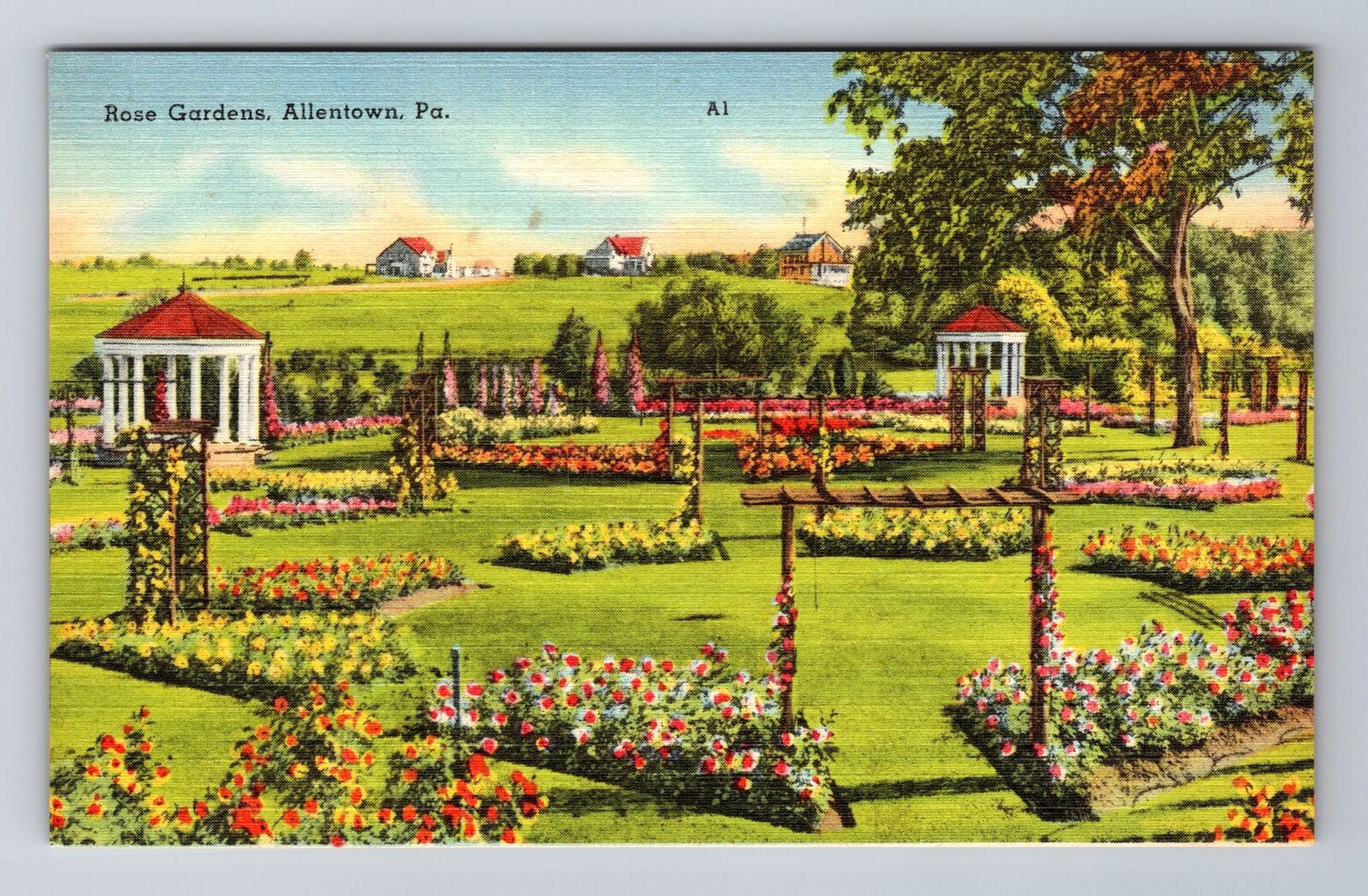 Allentown PA-Pennsylvania, Rose Gardens, Gazebos, Antique Vintage Postcard